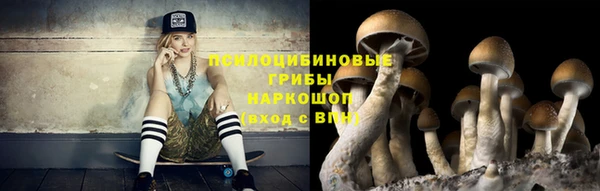 дмт Заводоуковск