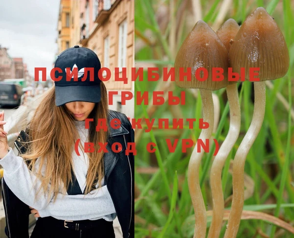дживик Заволжск