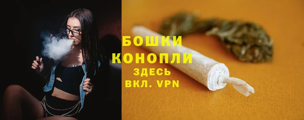 дмт Заводоуковск