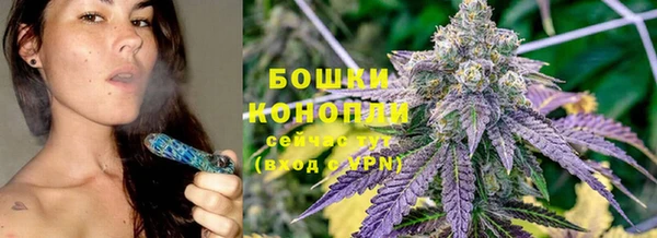 дживик Елизово