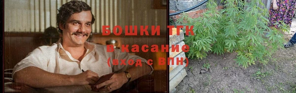 дживик Елизово