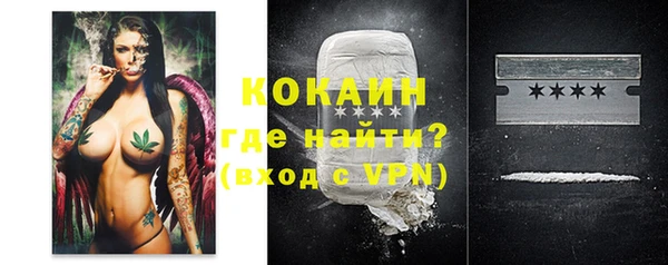 дживик Елизово