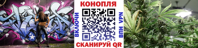 купить  цена  Питкяранта  MEGA зеркало  Марихуана семена 
